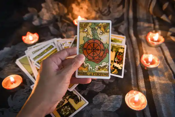 tarot cards Anaconda